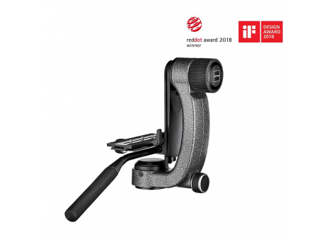 Gimbal Head Gitzo GHFG1 Award