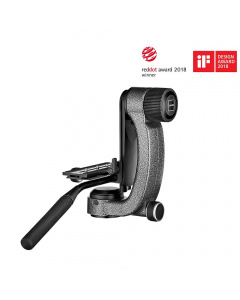 Gimbal Head Gitzo GHFG1 Award