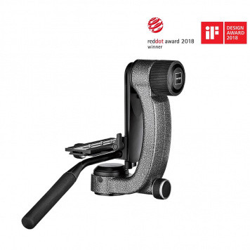 Gimbal Head Gitzo GHFG1 Award